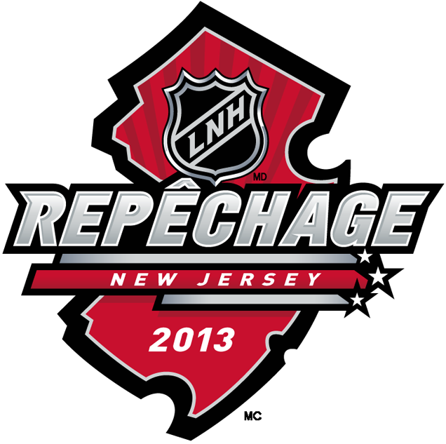NHL Draft 2013 Alt. Language Logo iron on heat transfer